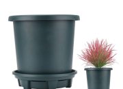 1 Gallon Plant Pots A Gardeners Guide