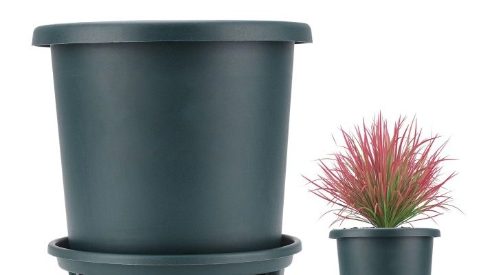 1 Gallon Plant Pots A Gardeners Guide