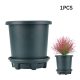 1 Gallon Plant Pots A Gardeners Guide