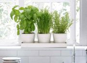 Indoor window plant pots