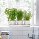 Indoor Window Plant Pots A Gardeners Guide