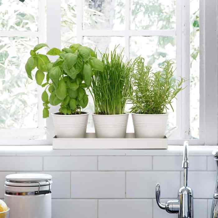 Indoor window plant pots