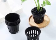 2 Plant Net Pot Double the Grow, Double the Fun