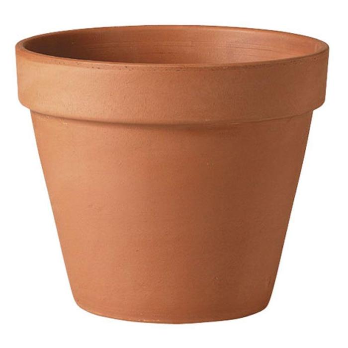 Terra cotta plant pots