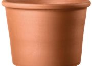 Terra cotta plant pots