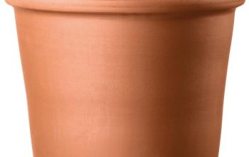 Terra cotta plant pots