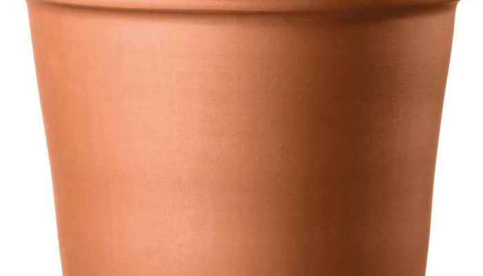 Terra Cotta Plant Pots A Comprehensive Guide