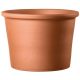 Terra Cotta Plant Pots A Comprehensive Guide