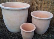 Terracotta clay plant pots