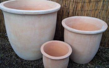 Terracotta clay plant pots